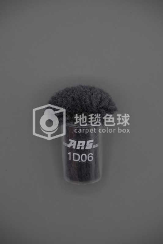 ARS 1D06