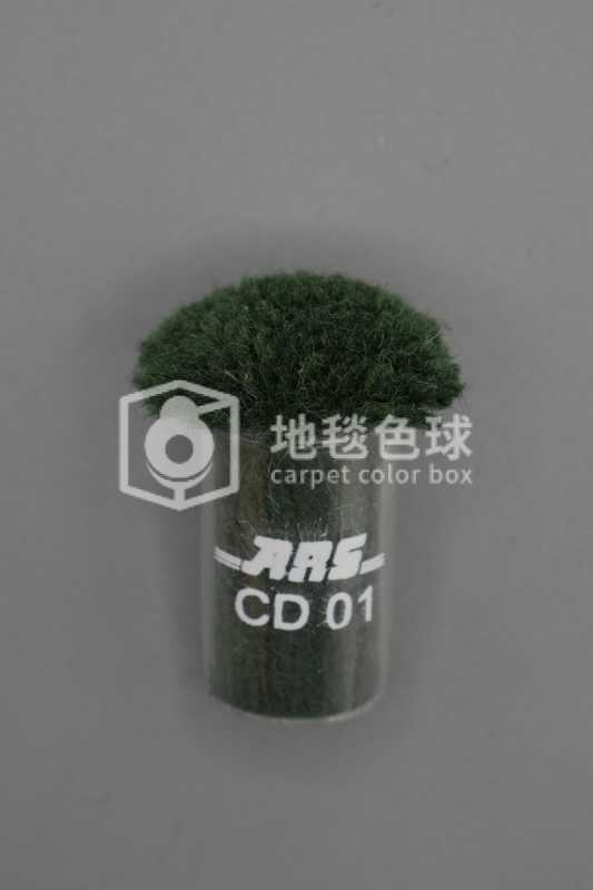 ARS CD01