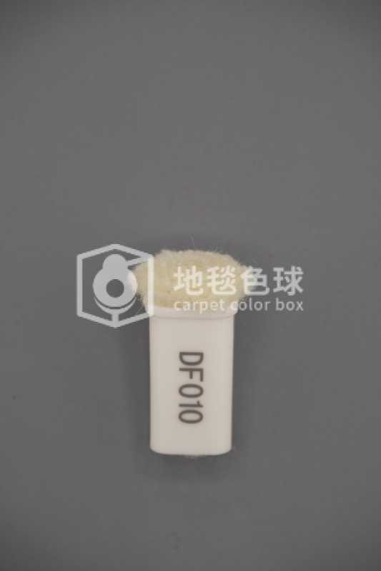DF010