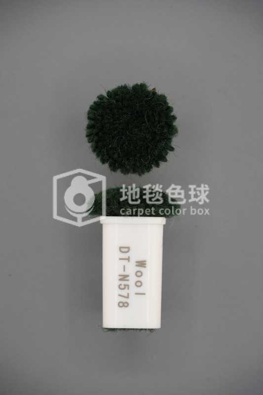 DT N578