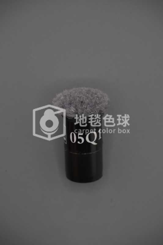 05Q1