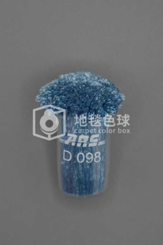 ARS D098