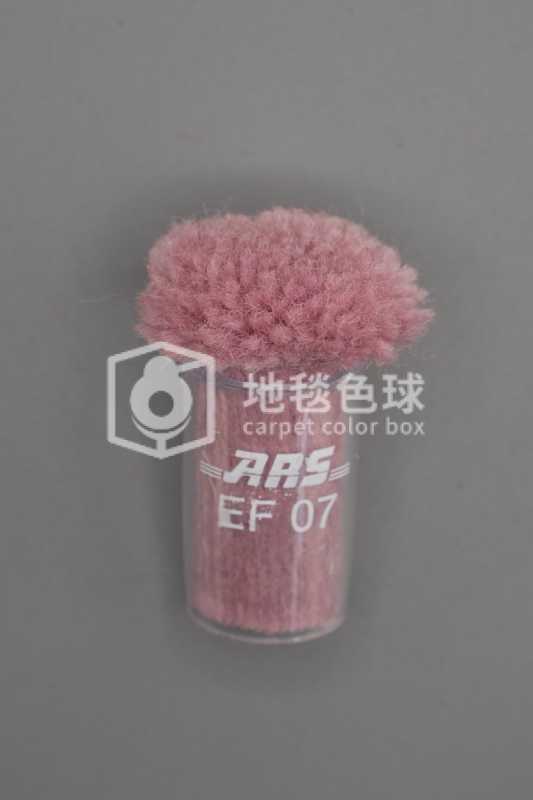 ARS EF07