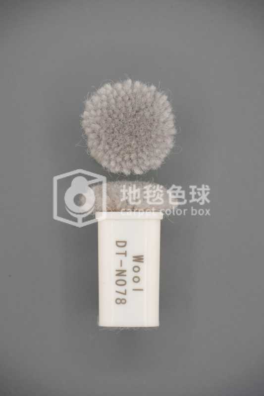 DT N078