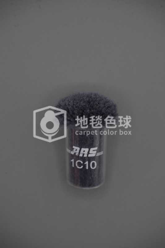 ARS 1C10