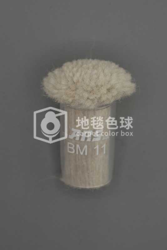 ARS BM11