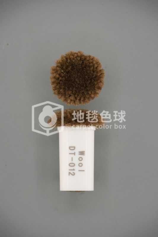 DT 012