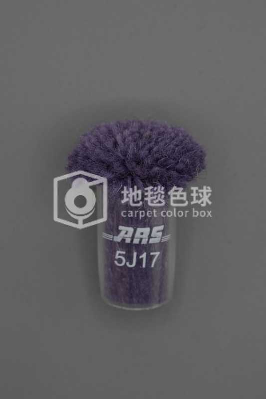 ARS 5J17