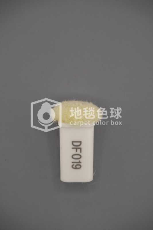 DF019