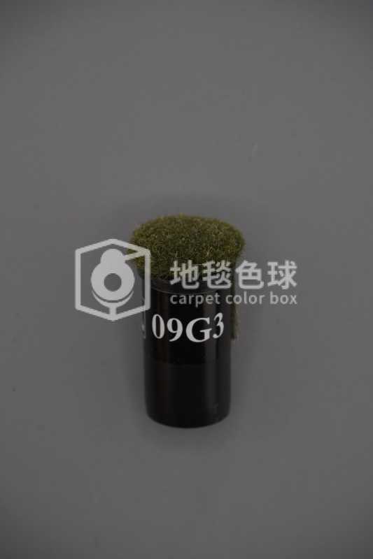 09G3