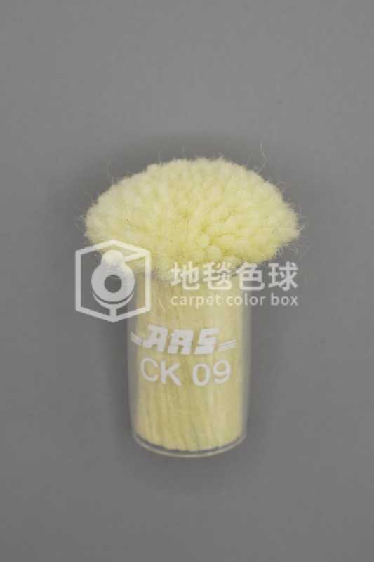 ARS CK09
