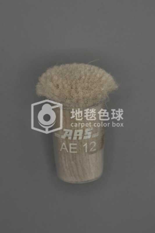 ARS AE12