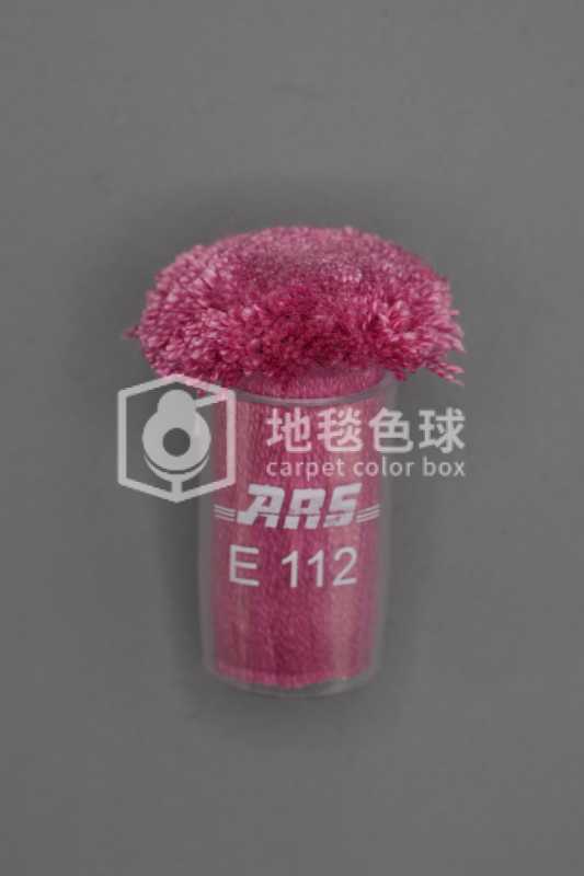 ARS E112