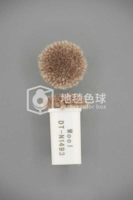 DT N1493