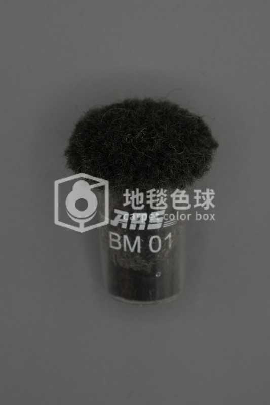 ARS BM01