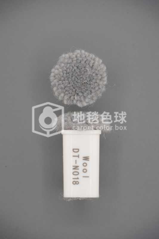 DT N018