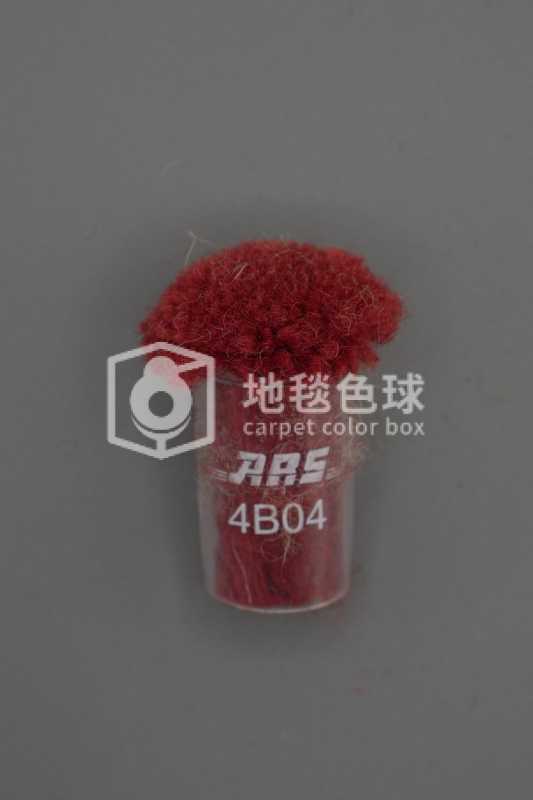 ARS 4B04