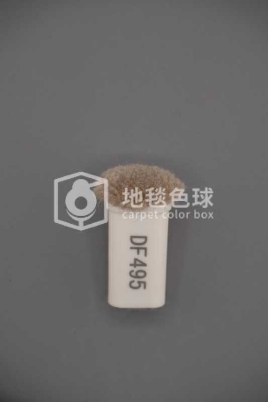 DF495