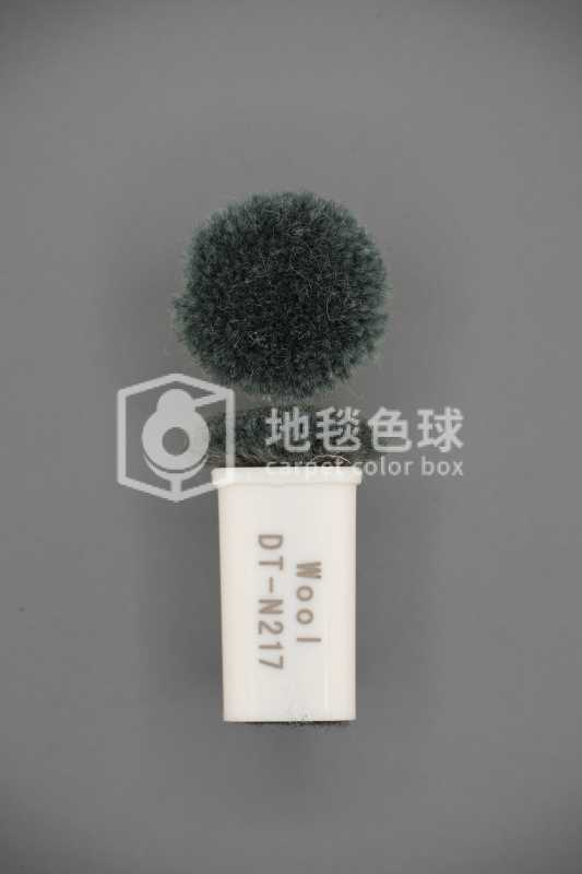 DT N217