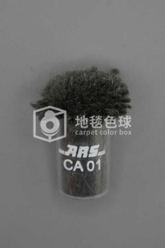 ARS CA01