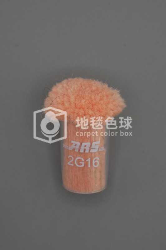 ARS 2G16