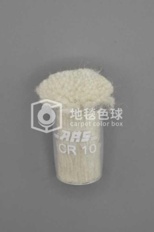 ARS CR10