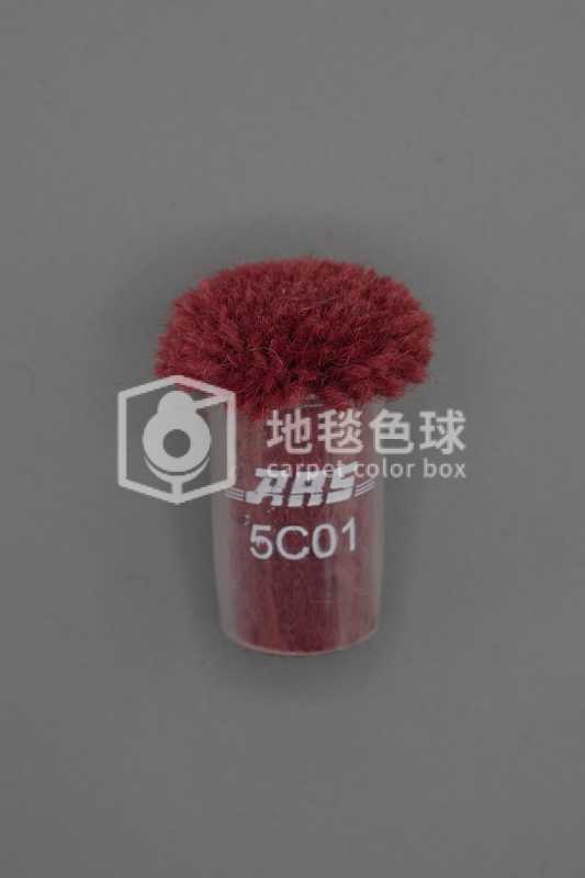 ARS 5C01