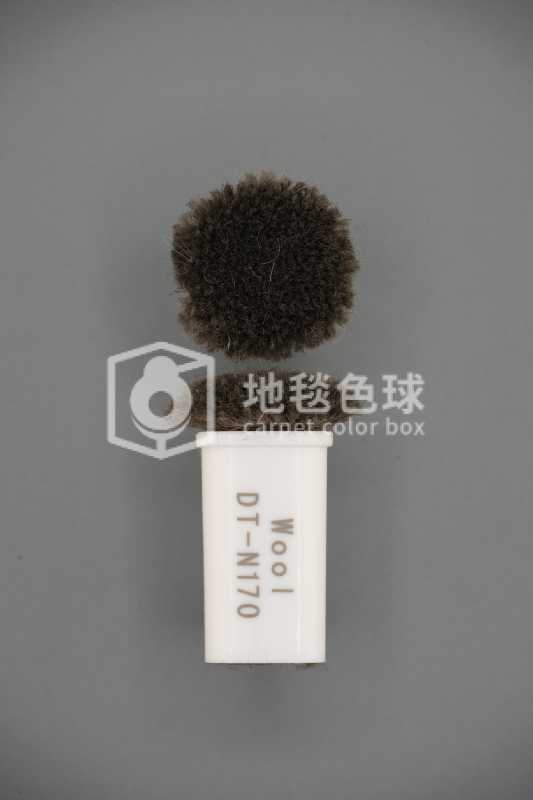 DT N170