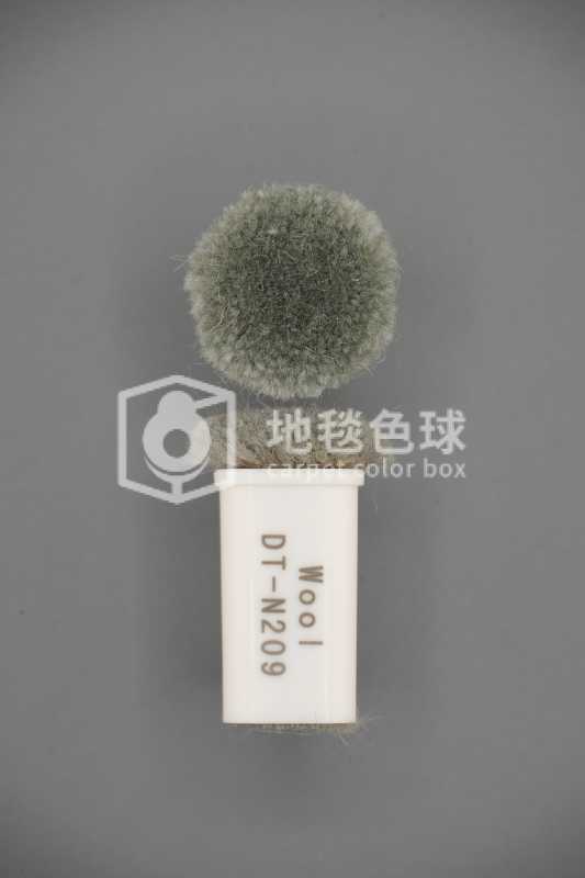 DT N209