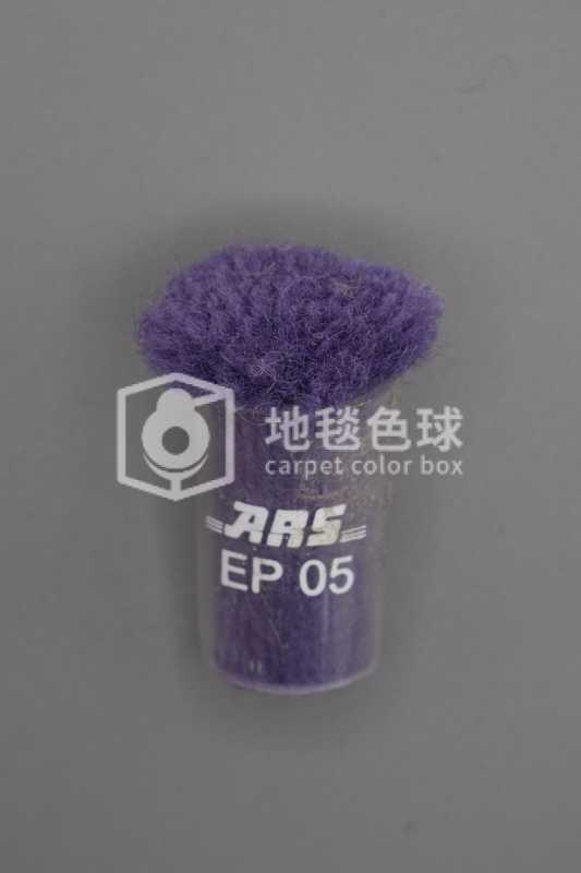 ARS EP05