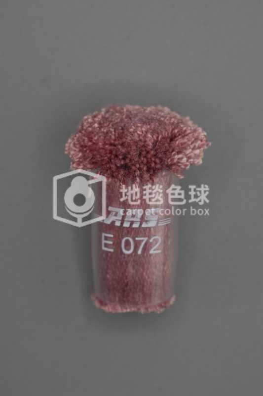 ARS E072