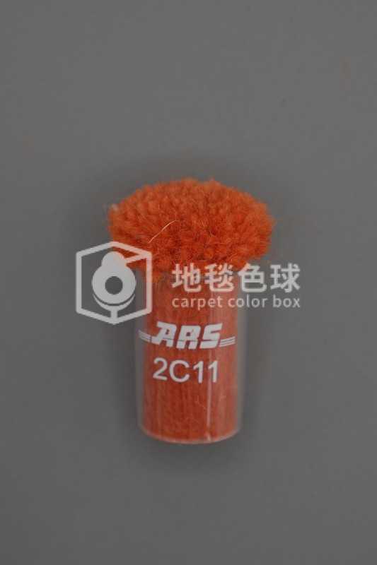 ARS 2C11