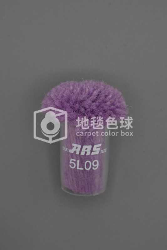 ARS 5L09