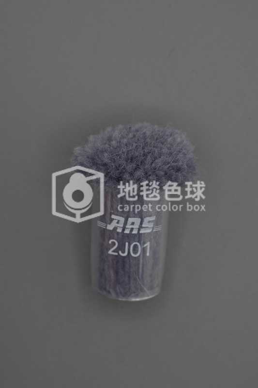 ARS 2J01
