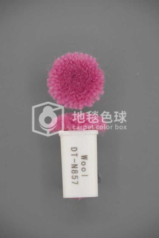 DT N857