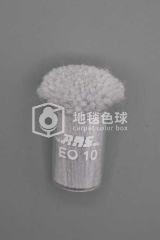 ARS EO10