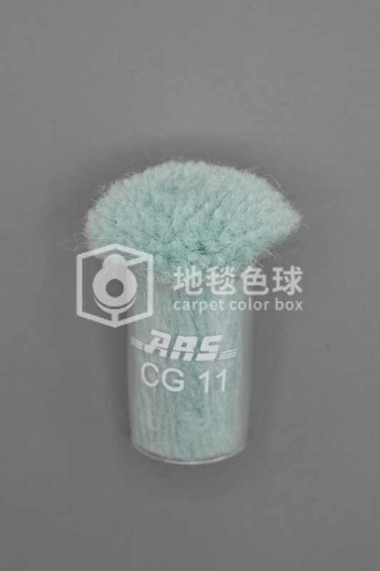 ARS CG11