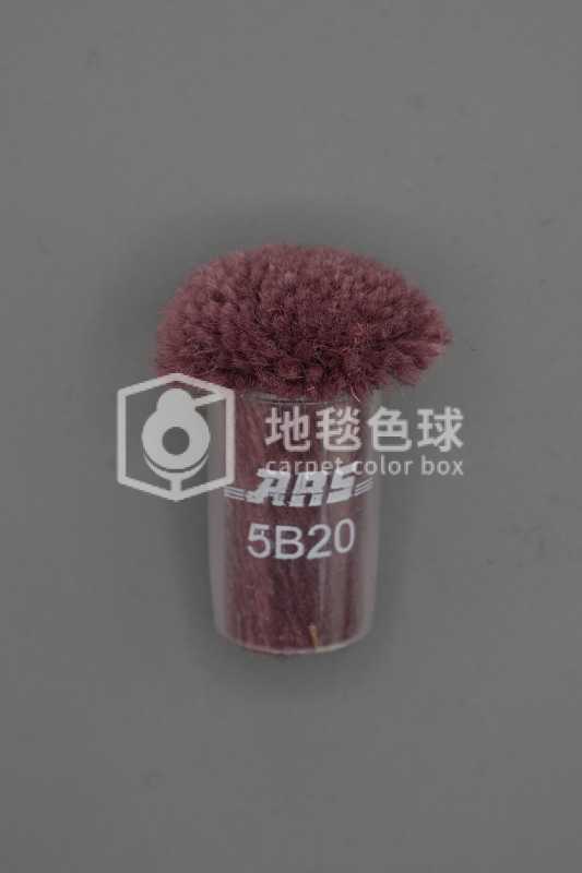 ARS 5B20