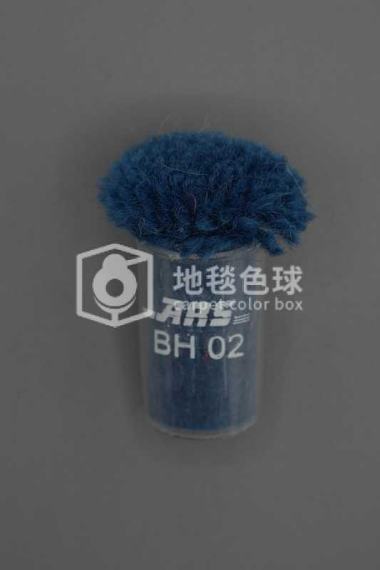 ARS BH02