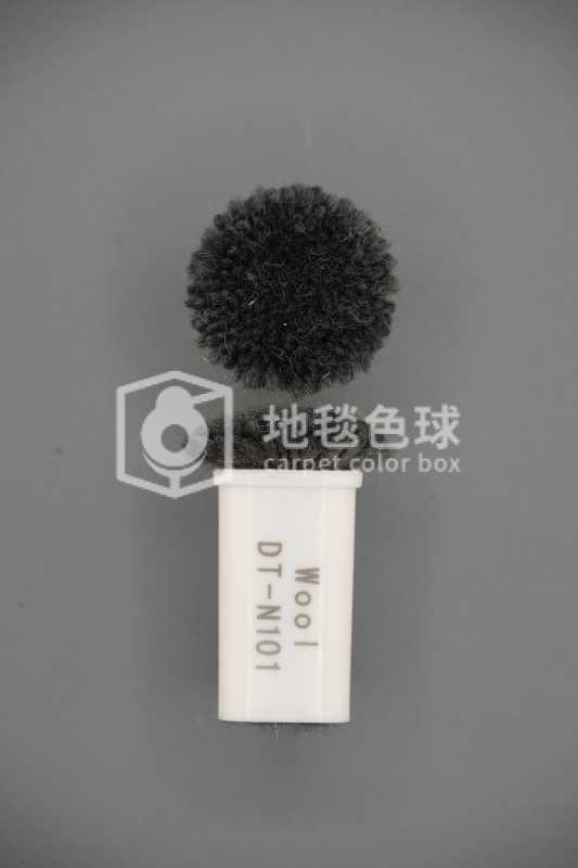 DT N101