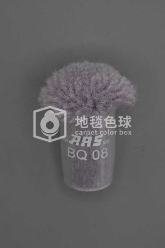 ARS BQ08