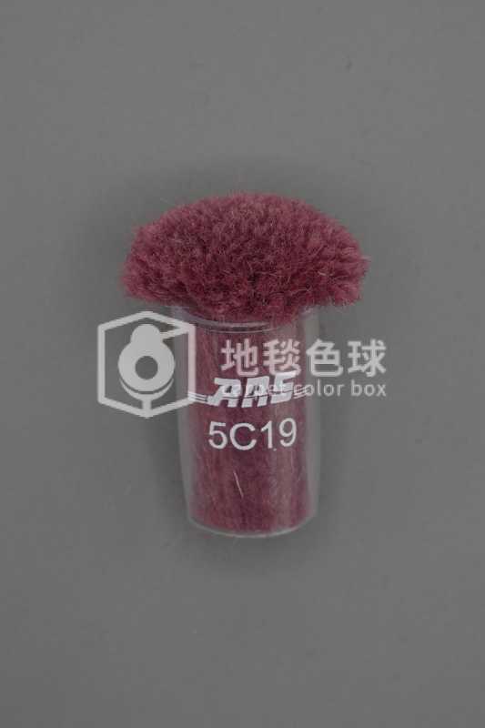 ARS 5C19