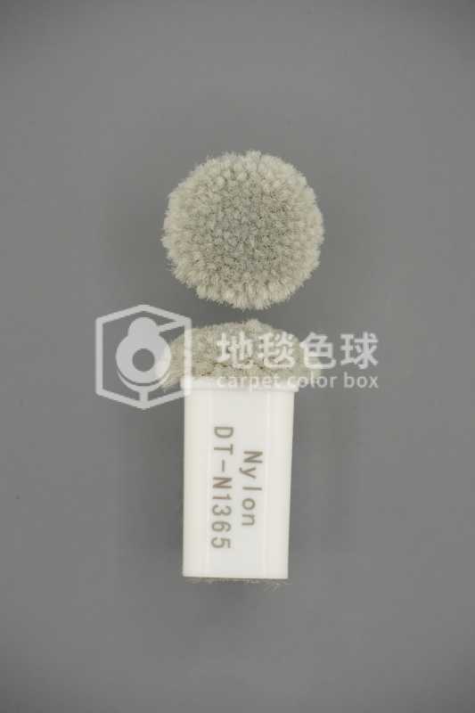 DT N1365