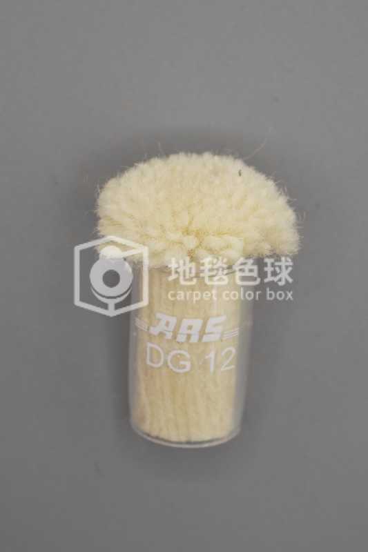 ARS DG12