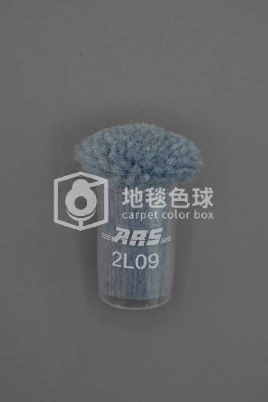 ARS 2L09