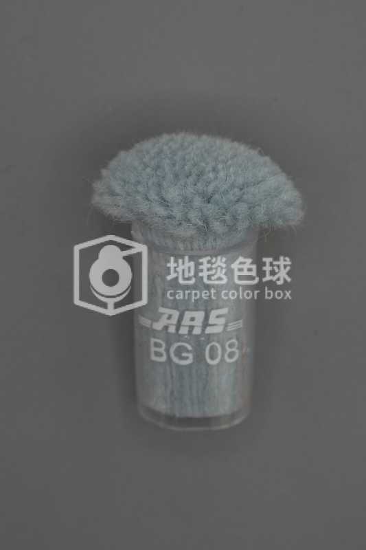 ARS BG08