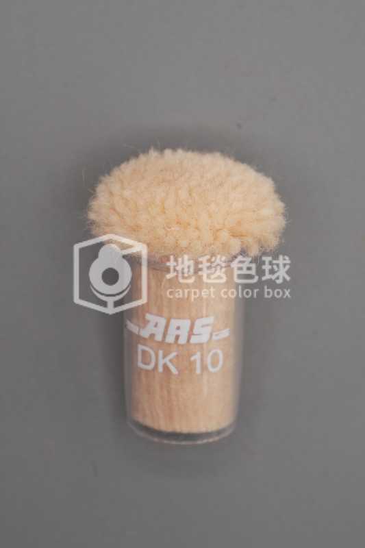 ARS DK10