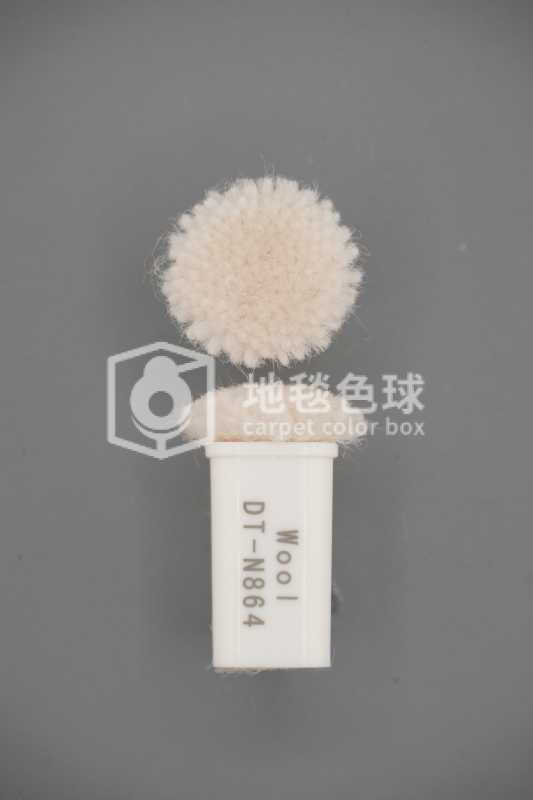 DT N864