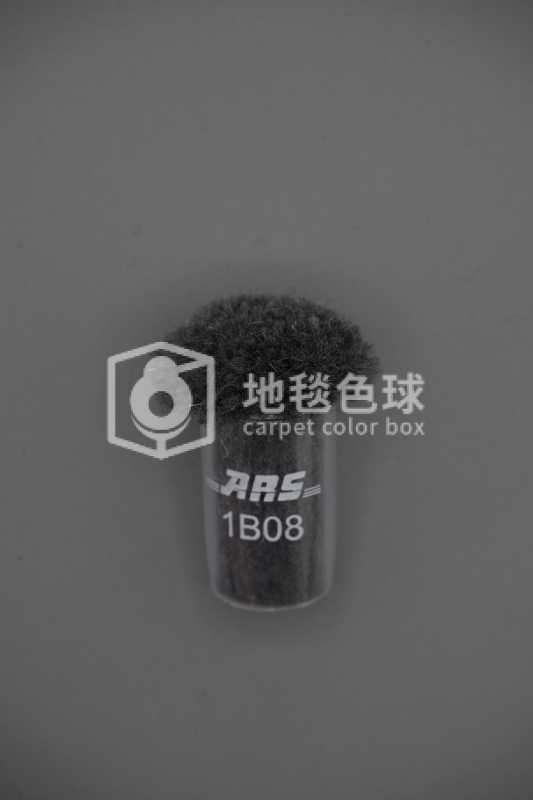 ARS 1B08