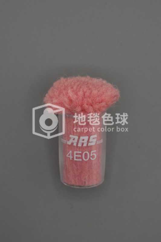 ARS 4E05